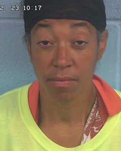 Mugshot of RODEN, ANDREA
