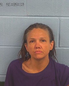 Mugshot of DAVIDSON, CYNTHIA