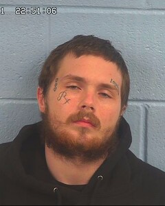 Mugshot of WHITTEN, JAMISON