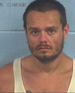 Mugshot of COLE, ADAM