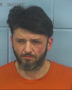 Mugshot of PRUITT, DUSTIN