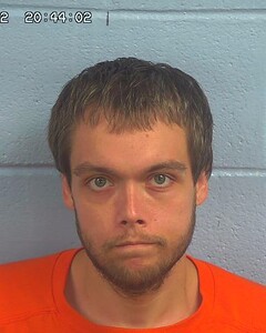 Mugshot of REEVES, JOHN