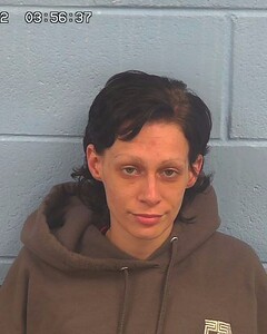 Mugshot of ANDERSONFIELDING, GRACIE