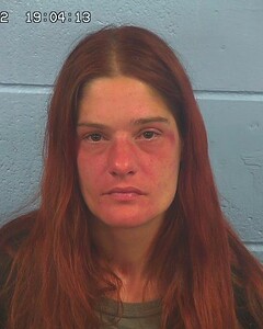 Mugshot of MARTIN, MEGAN
