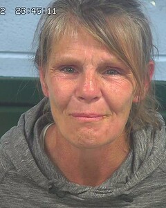 Mugshot of LAMBERTBARNETT, TINA