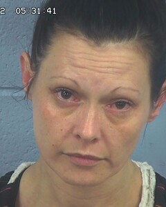 Mugshot of BENSON, LISA  