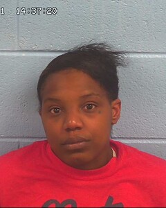 Mugshot of JOHNSON, ARIELLE