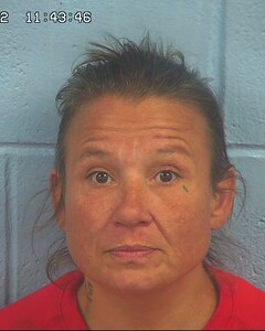 Mugshot of PRICE, GENA