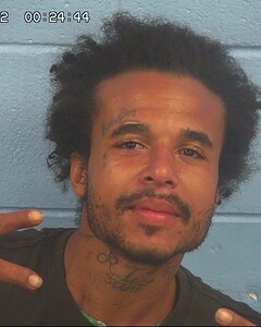 Mugshot of WILSON, ROBERT