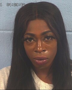 Mugshot of MEADOWS, RICHARD