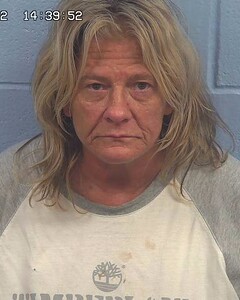 Mugshot of WILLIAMS, SHARI