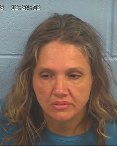 Mugshot of DAVIDSON, CYNTHIA