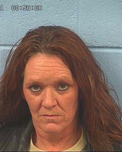 Mugshot of HAHN, ANN