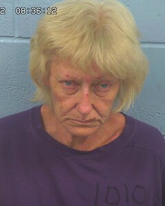 Mugshot of MATTINGLY, SUSAN
