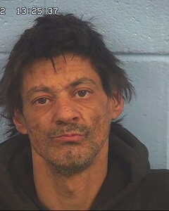 Mugshot of WOLF, MICHAEL