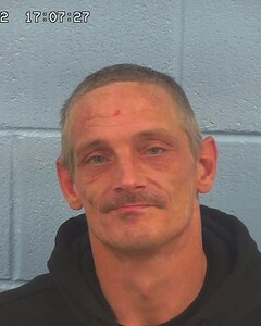 Mugshot of GREEN, TERRY