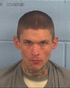Mugshot of TALTON, TRAVIS