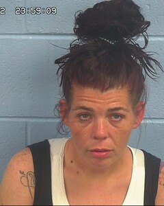 Mugshot of PARKS, JACKIE