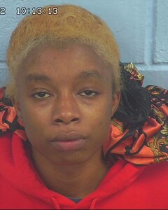 Mugshot of COLLINS, SHANTAVIAN