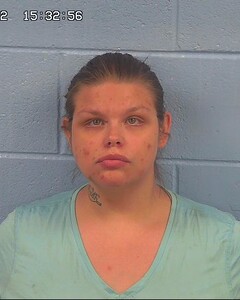 Mugshot of ELKINS, BRITTANY