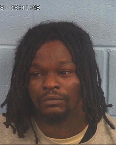 Mugshot of TERRY, DEMETRIUS