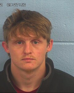 Mugshot of WILKERSON, DAVID