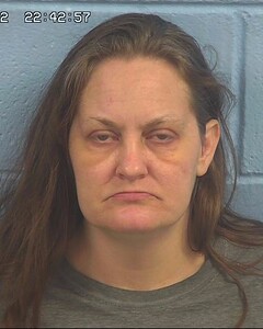 Mugshot of EVANS, LORRIE