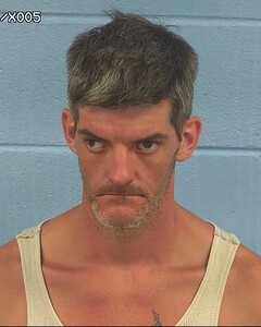 Mugshot of ARNOLD, ROBERT