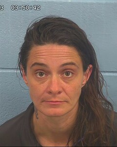 Mugshot of SPINKS GINGLES, LINDA