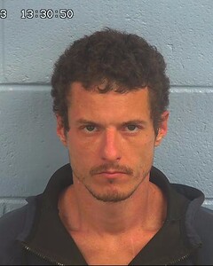 Mugshot of SWANN, NICHOLAS