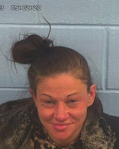 Mugshot of SANCHEZHUTCHESON, BRANDY