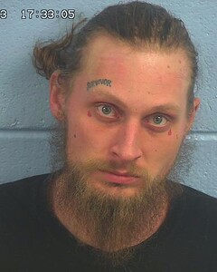 Mugshot of TOWNSON, IAN