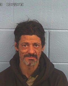Mugshot of WOLF, MICHAEL