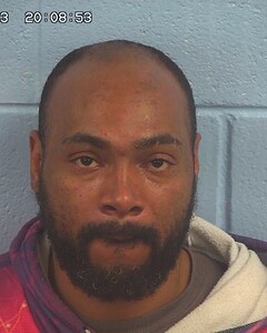 Mugshot of FREEMAN, TRAVIS