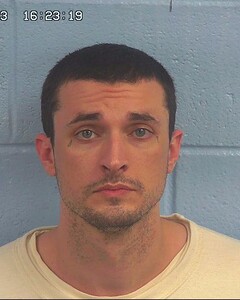 Mugshot of WILLIS, TREVOR
