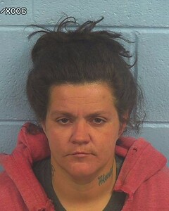 Mugshot of SEARS, AMANDA