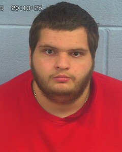 Mugshot of WILLINGHAM, NATHANIEL