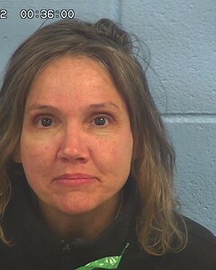 Mugshot of DAVIDSON, CYNTHIA