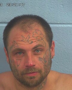 Mugshot of WHITMORE, SHAWN