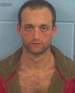 Mugshot of WHISENANT, MATTHEW