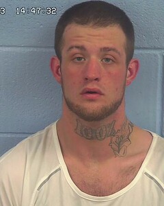 Mugshot of WHISENANT, MARK
