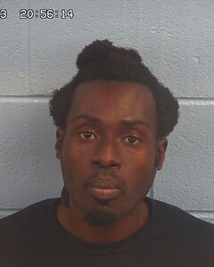 Mugshot of LOZANDIER, WILNICK