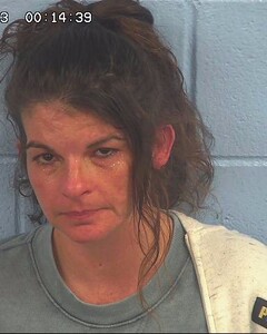 Mugshot of BEARDEN, MARLA