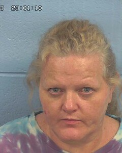 Mugshot of JONES, BRANDY