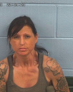 Mugshot of HANSON, STACY