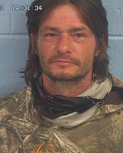 Mugshot of PALMER, NICHOLAS