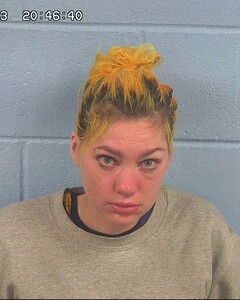 Mugshot of BASKIN, SOFIYA
