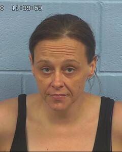 Mugshot of DOBBS, KAREN