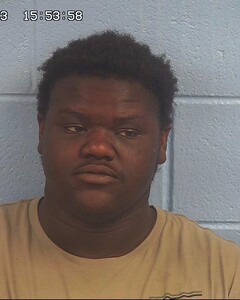 Mugshot of WADE, MARTIN