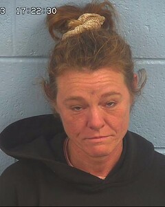 Mugshot of WOOLDRIDGE, ANGIE